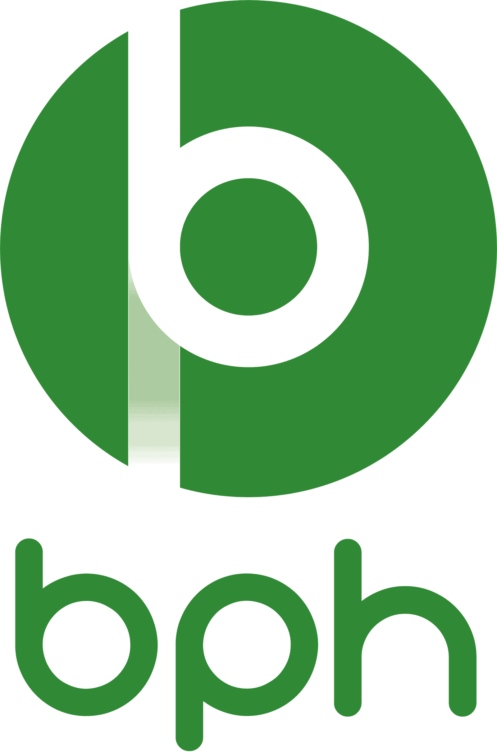 Logo Bpph Logo BPH